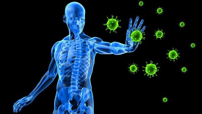 amazing facts about your immune system