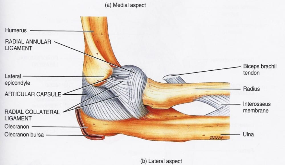 What is Tommy John Surgery?