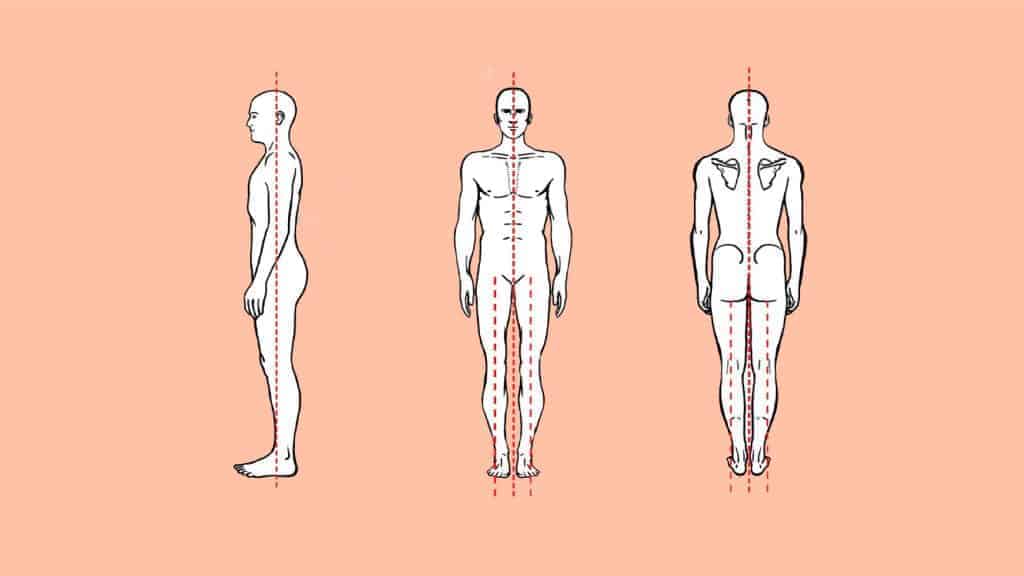 Alignment of spine