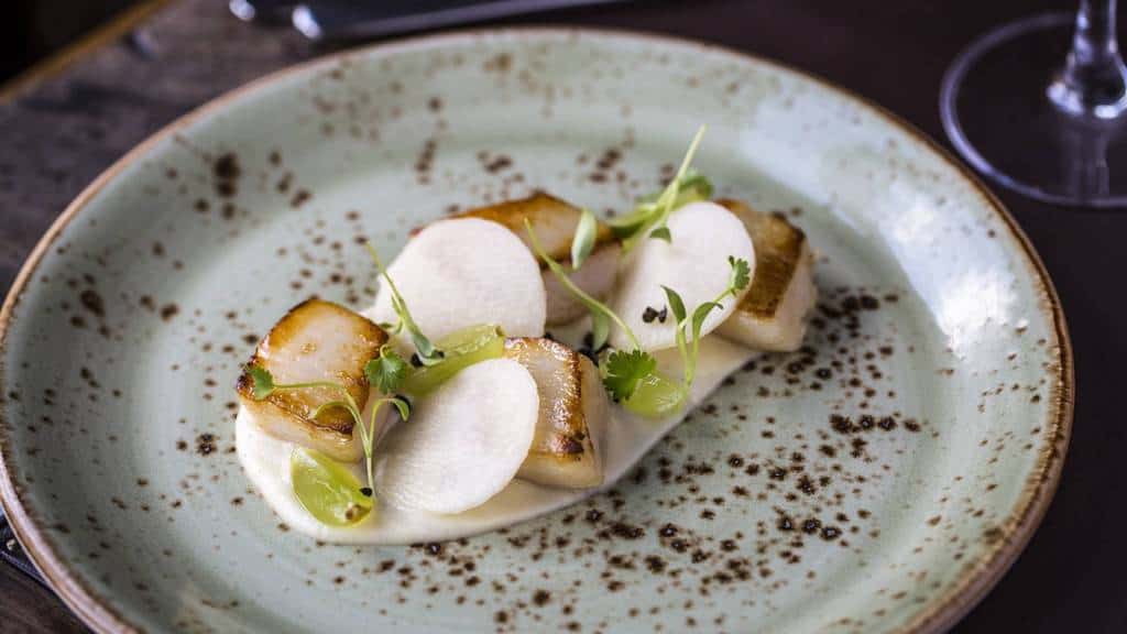 CroppedFocusedImage  Hand dived Dorset scallops salsify puree kohlrabi fried capers grapes  web