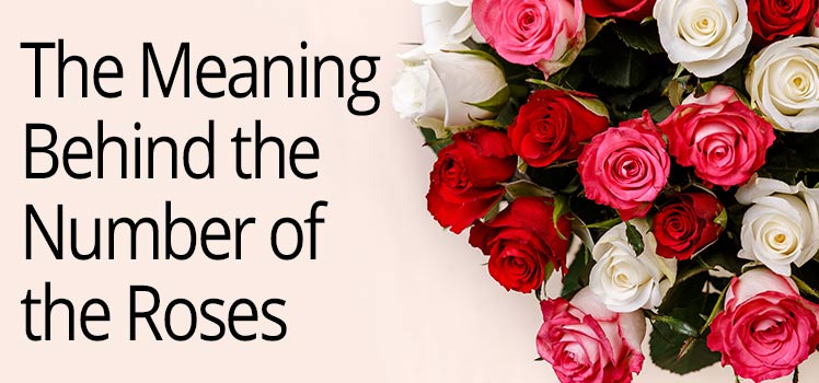 LolaFlora Meaning of the Number of Roses