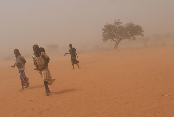 Sandstorm Niger N