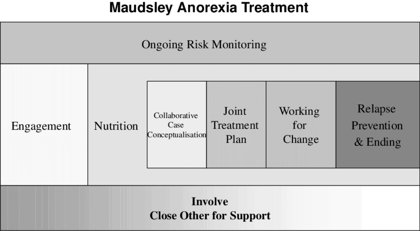 The Maudsley Model of treatment for adult anorexia nervosa A diagram illustrating the