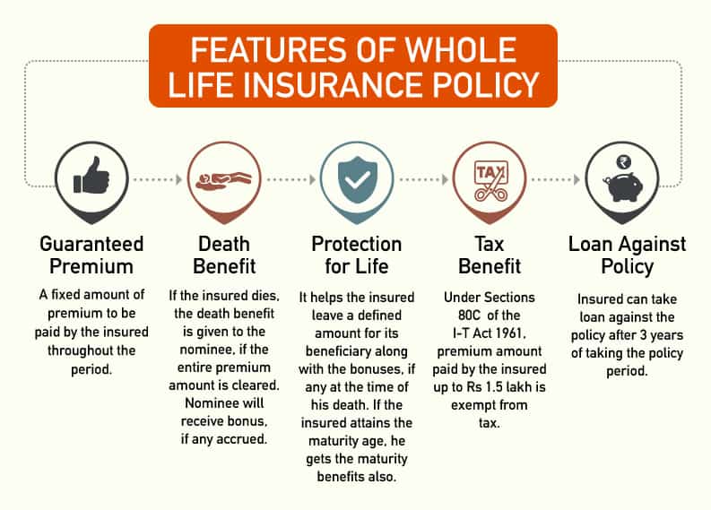 features of whole life insurance