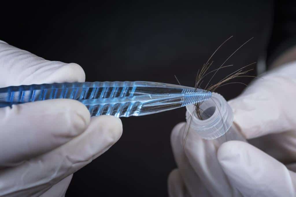 hair sample being added to a test tube for a hair follicle drug test