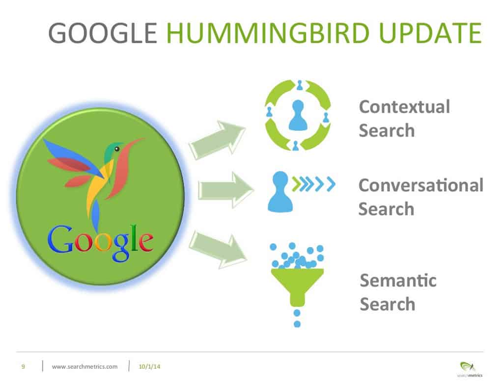 hummingbird update