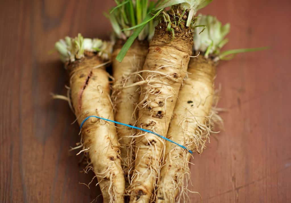 salsify root