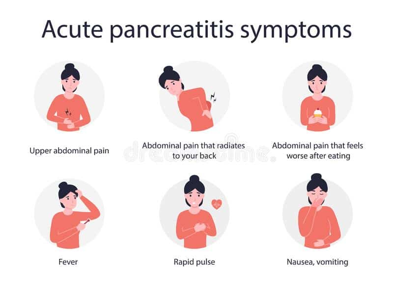 set acute pancreatitis symptoms flat vector cartoon modern illustration