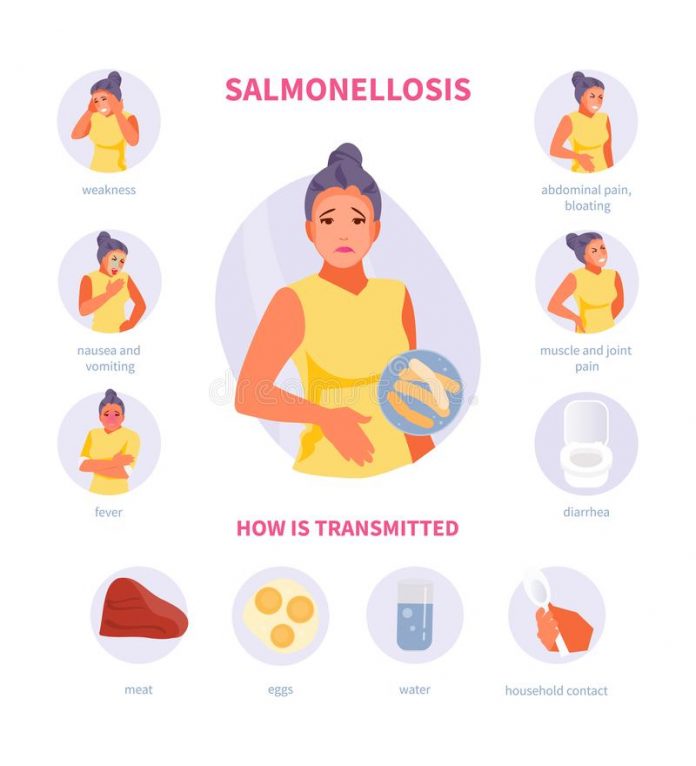 the-salmonella-scare-and-what-it-really-is