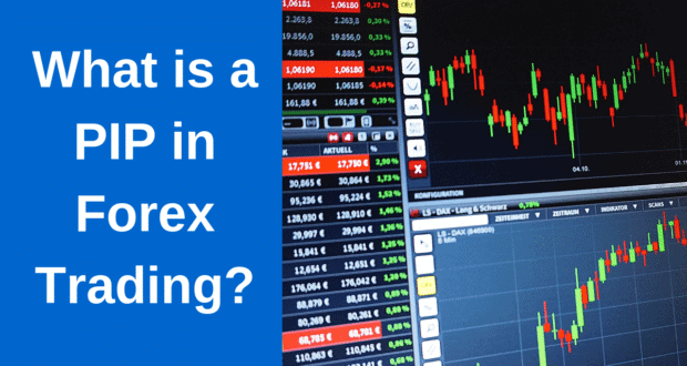 what is a pip in forex