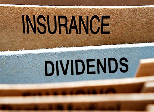 whole life insurance dividend options