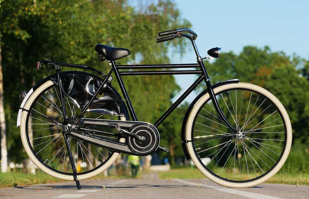 px Dutch bicycle