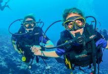 What Is A Scuba Divemaster? An Explanation Of The Divemaster’s Role In Scuba Diving