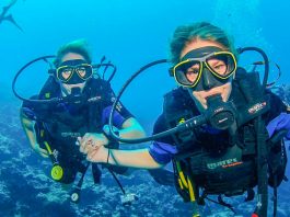 What Is A Scuba Divemaster? An Explanation Of The Divemaster’s Role In Scuba Diving