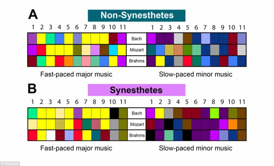 Synaesthesia - The Mixing of the Senses: How Some Join Their Senses to Experience the World in a New Way