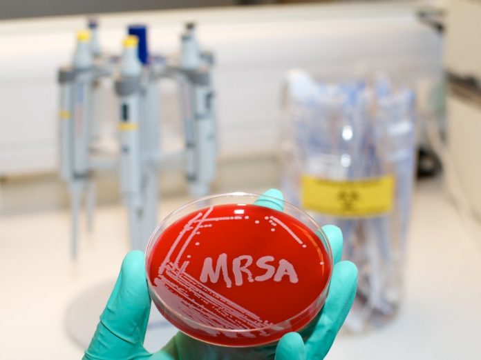 MRSA agar image