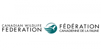 canadian wildlife federation cwf logo vector