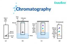 chromatography teachoo