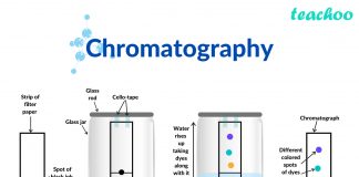 chromatography teachoo