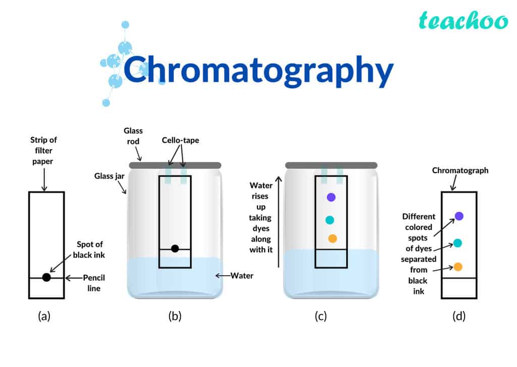 What is Chromatography Gas Liquid Chromatography HPLC Chemical 