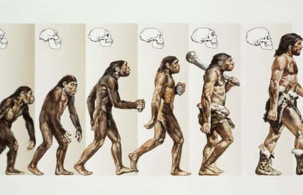 human evolution promo gettyimages