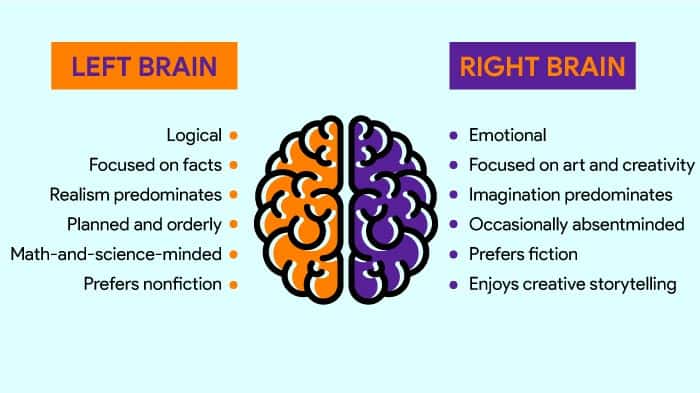 right brain left brain test