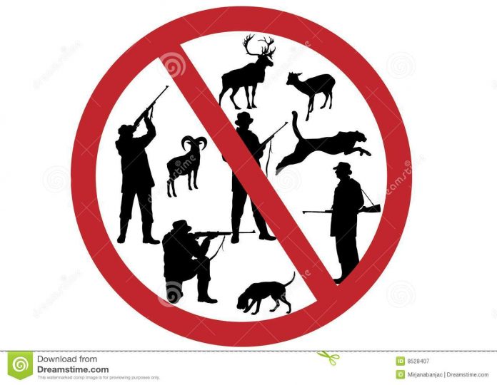stop kill animals