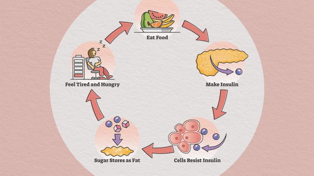 what is insulin resistance